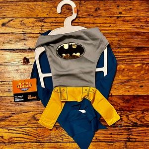 Batman Pet Costume